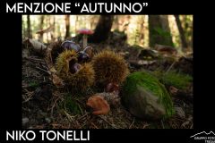 3_MenzioneAutunno-scaled